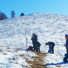 P1170373    Sosta anche banana, h, 11.25 .